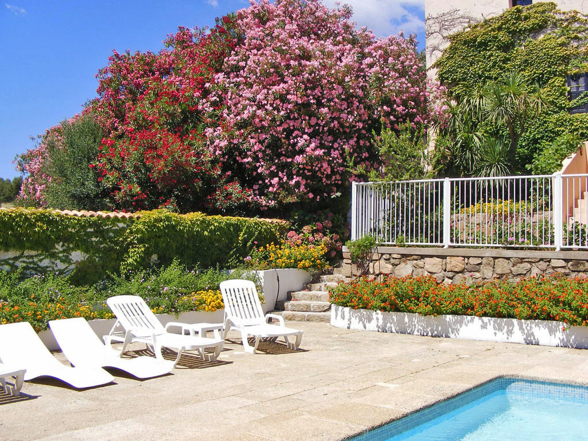 A pool area with white lounge chairs, a stone wall, and a variety of flowering plants.