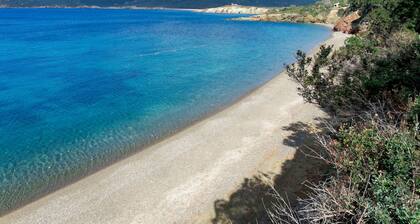 Primavera by Interhome