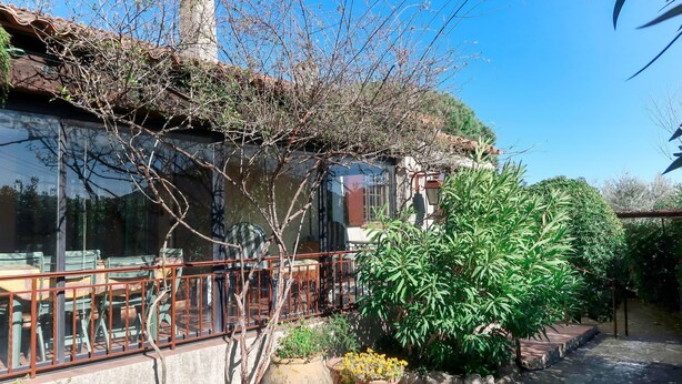 Un bâtiment de style rustique doté d’un balcon, d’un espace extérieur aménagé pour s’asseoir et d’une variété de plantes en pot.