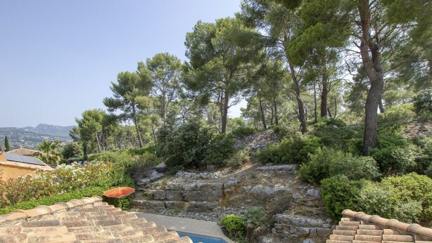 Un espace piscine aménagé en terrasses, avec des marches en pierre menant à la piscine, le tout entouré d’une végétation luxuriante et d’arbres.