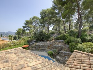 Stroll down the stone staircase to a serene pool area surrounded by lush greenery and pine trees.