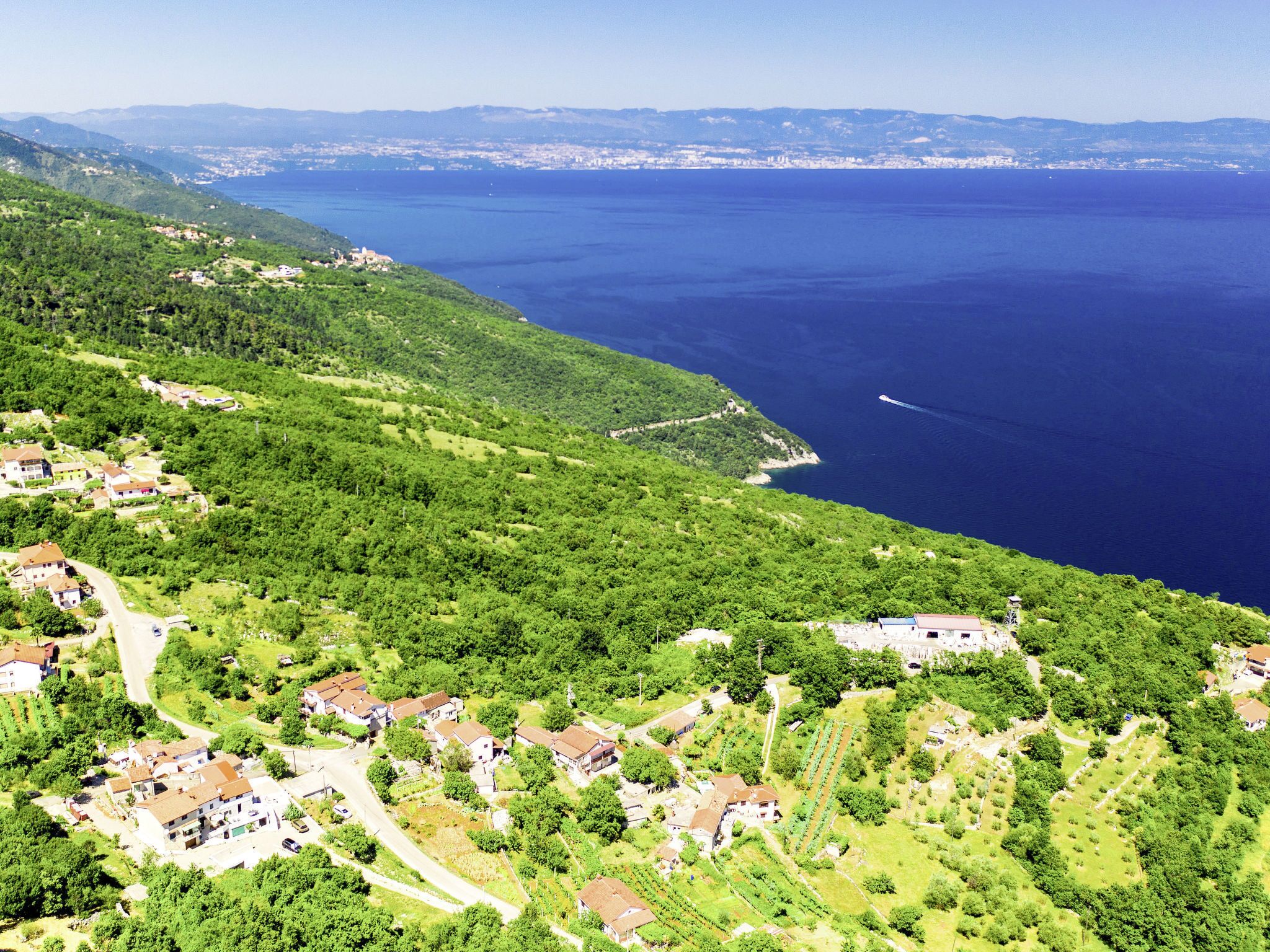 A coastal village with houses and vineyards, overlooking a large body of water.