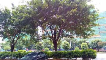A car parked in front of a tree-lined area with a building in the background.
