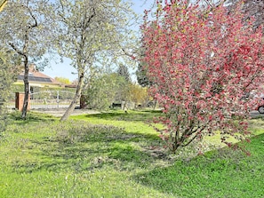 A garden with a variety of trees, a paved walkway, and a building with a sloped roof in the background.