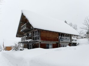 Exterior - Christine by Interhome (Siegsdorf)