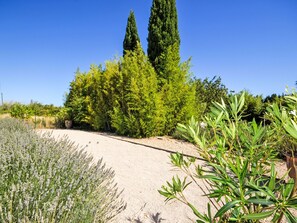 Terrain de l’hébergement
