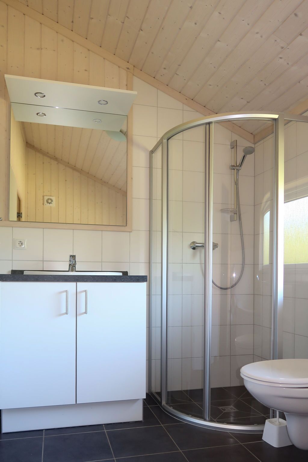 A modern bathroom with a glass shower enclosure, a white sink, and a toilet.