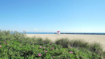In Strandnähe