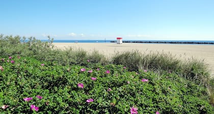 Ostsee-Residenz (DMP160) by Interhome