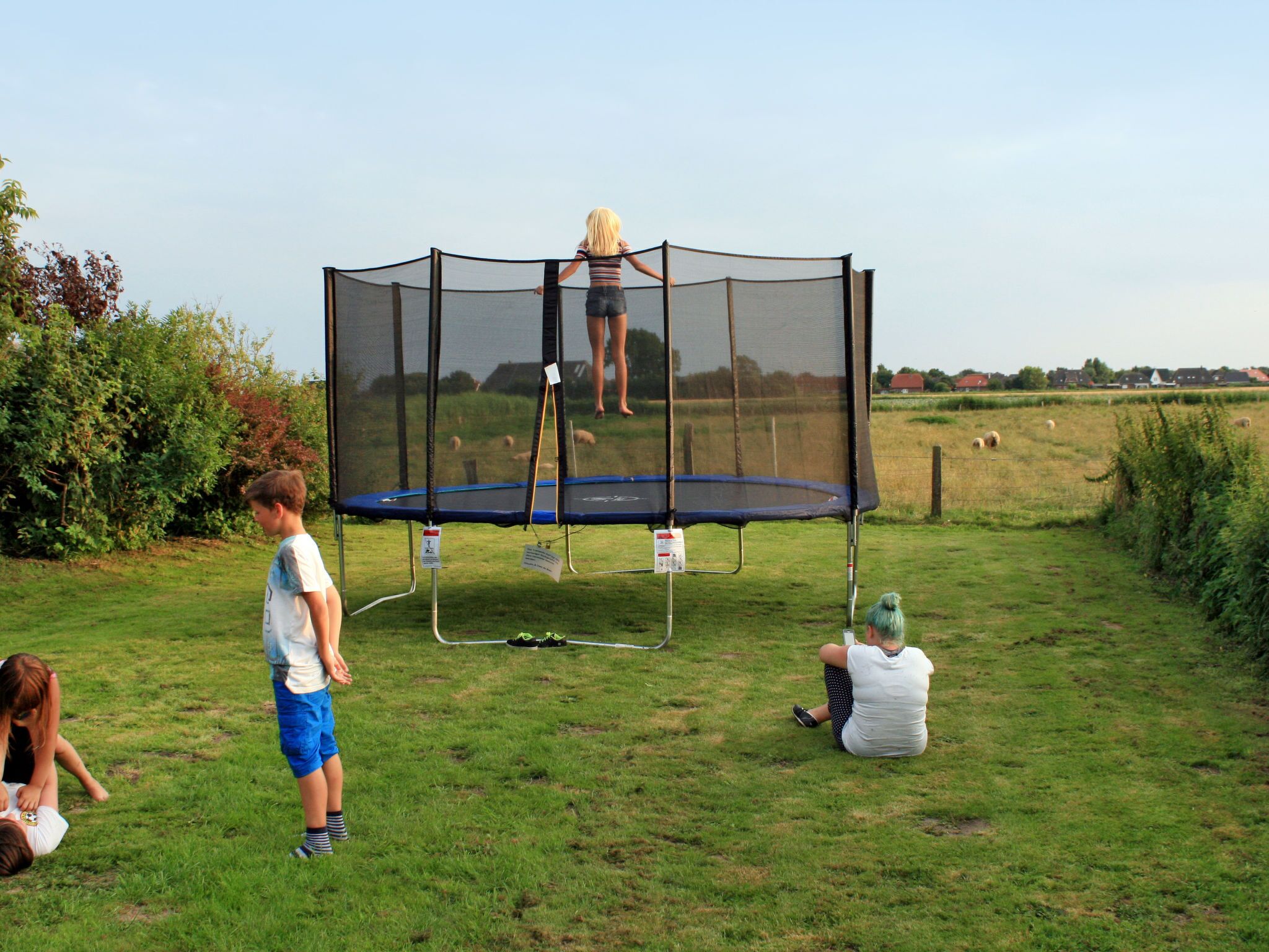 A trampoline in a grassy outdoor area with a net enclosure.