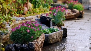 A garden pathway with potted plants and flowers. - Dieshu Private Holiday Villa (Lijiang)