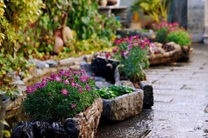 A garden pathway with flower planters and a stone wall.