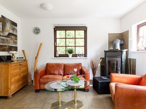 テレビ、暖炉、DVD プレーヤー