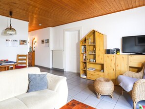 تلفزيون، مشغل دي في دي