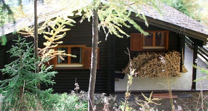 Chalet Soldanella (BEL205) by Interhome