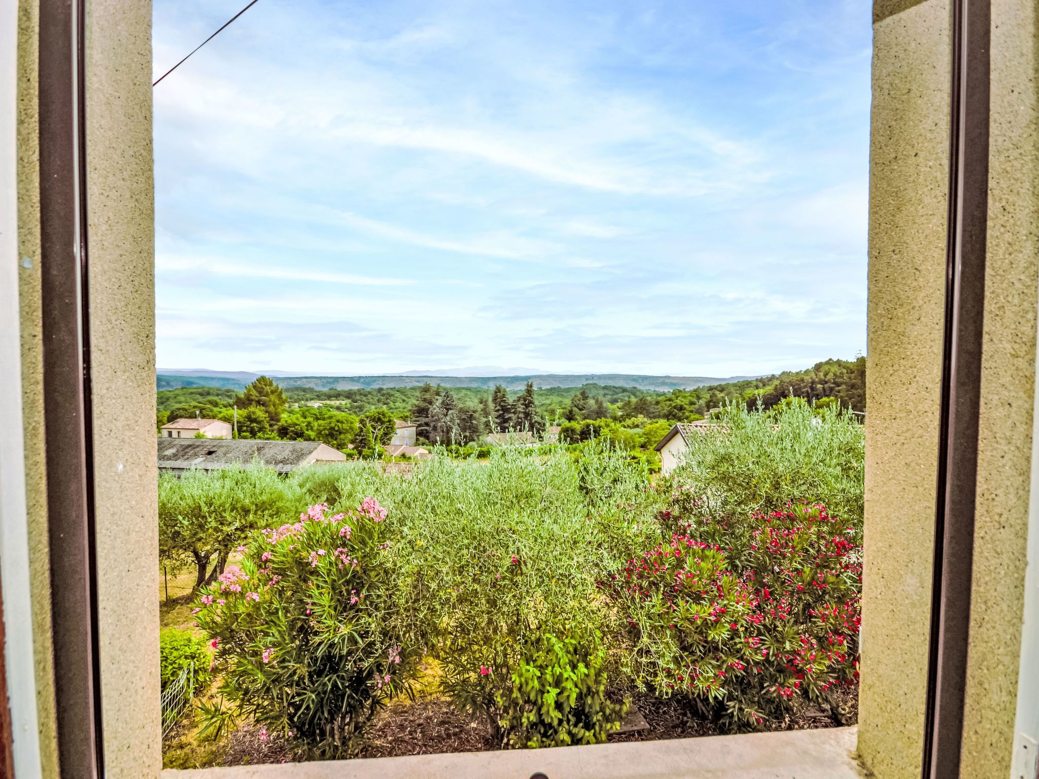 Vista desde una ventana con jardín, plantas y arbustos diversos, cielo despejado y colinas al fondo.