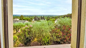 A view from a window overlooking a garden with various plants and shrubs, a clear sky, and distant hills.