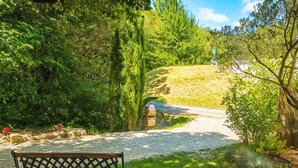 A bench in a park with a gravel path leading to a building.