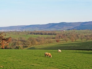 A rural landscape with rolling hills and a distant town.