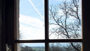 Una ventana con vistas a un campo verde y árboles.