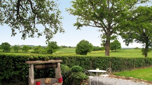 Un espace extérieur aménagé dans un style rustique, avec une table et un banc en pierre, entouré de verdure et d’une haie.