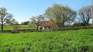 Un paysage rural avec une maison entourée de champs verdoyants et d’arbres.