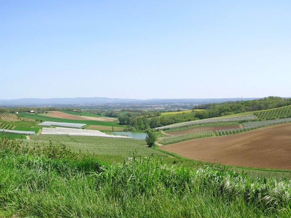 Un paisaje rural con campos, un pequeño estanque y colinas a lo lejos.