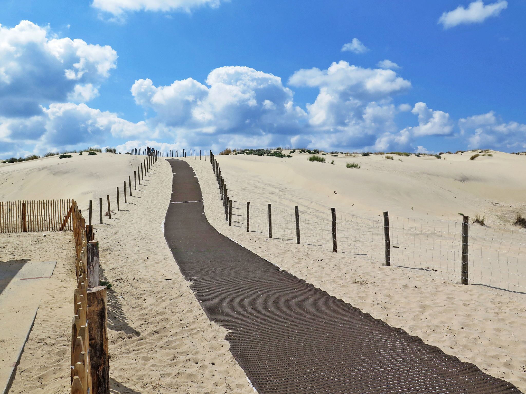 Strand