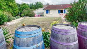 A rustic house with a tiled roof, surrounded by a garden with wooden barrels and flowering plants.