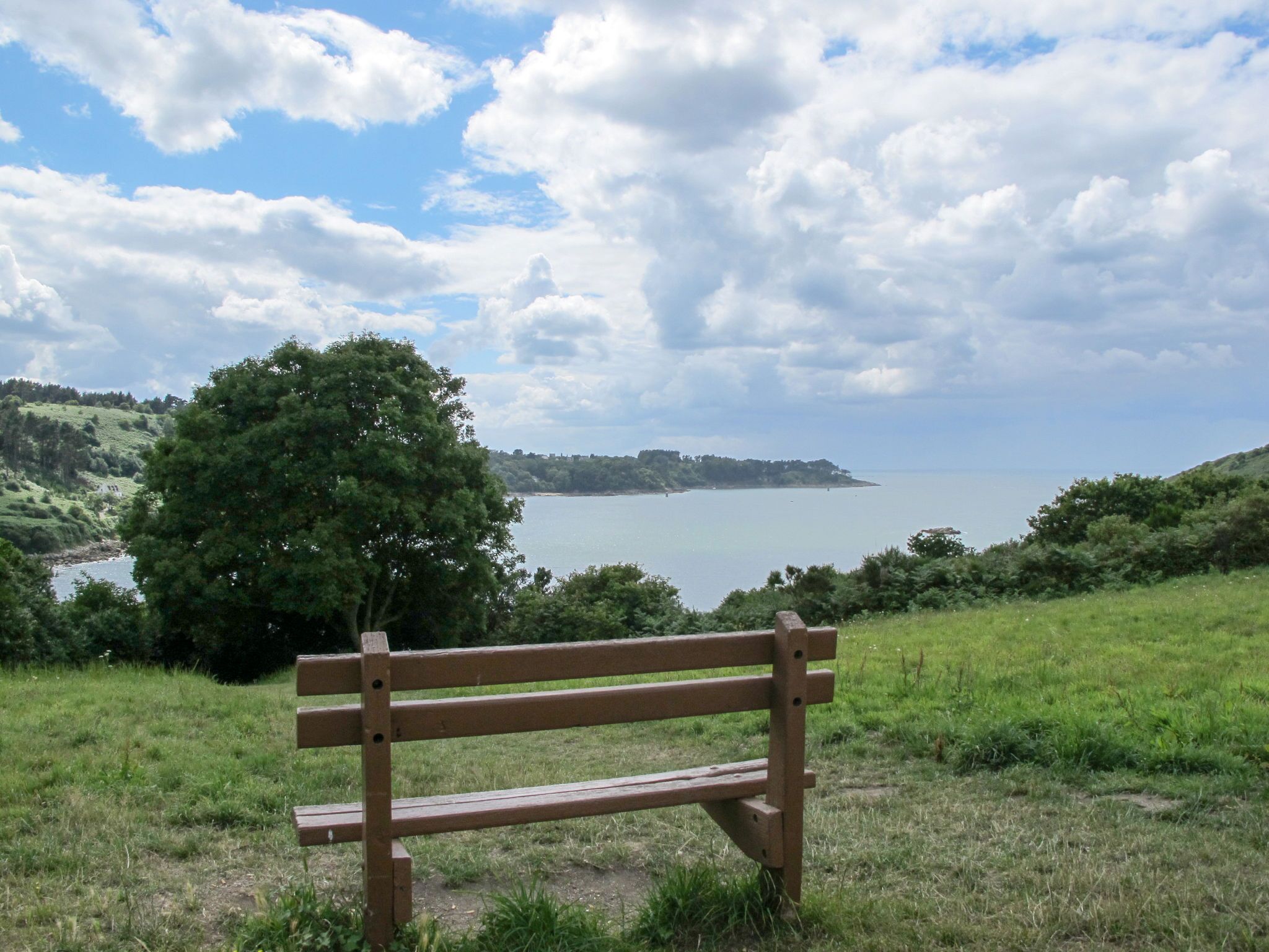 A wooden bench in a grassy field with a view of a body of water and a distant shoreline.