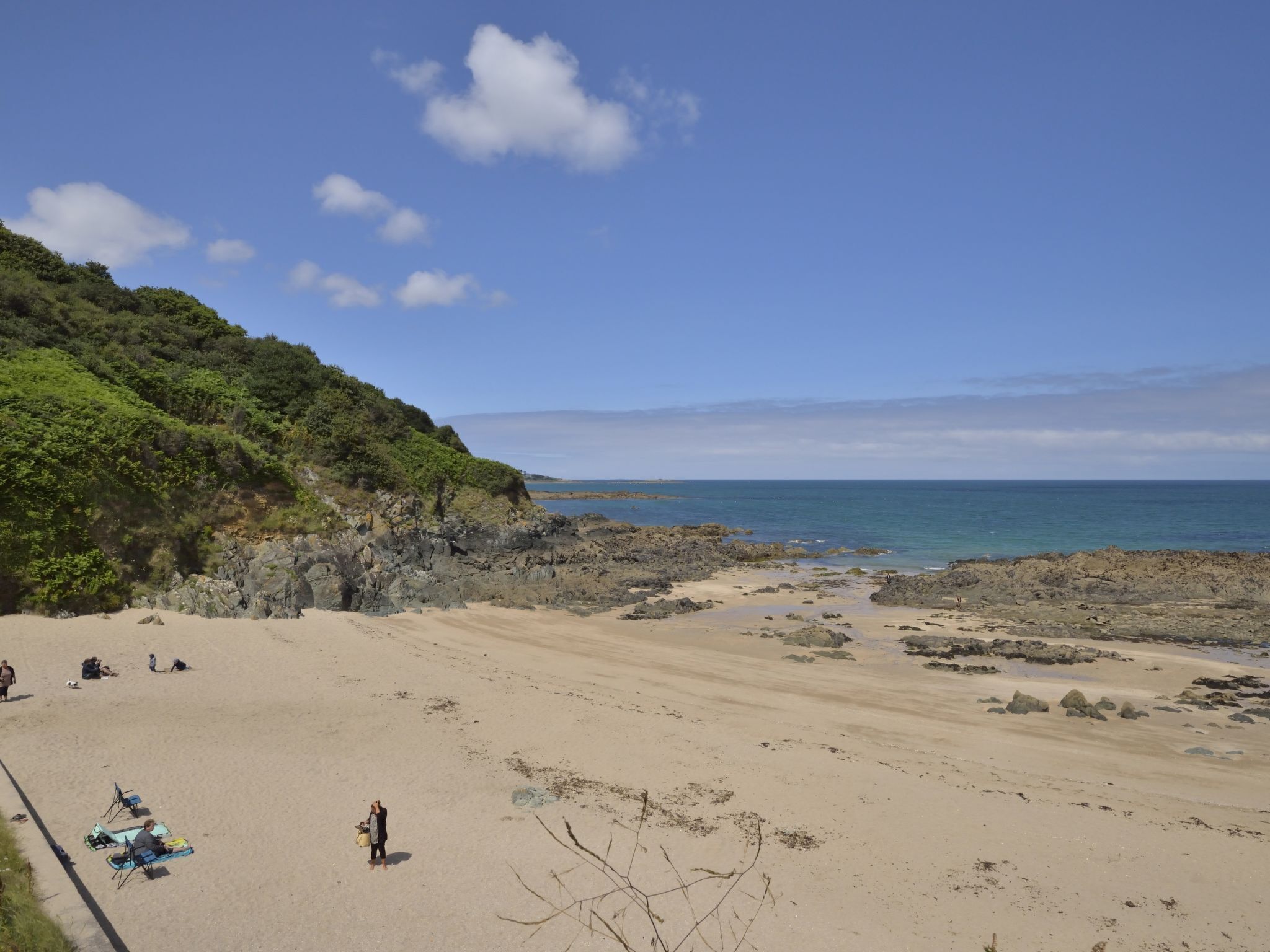 A beach with rocky terrain and sparse vegetation.