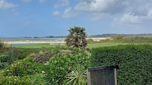 A lush garden with a variety of plants and a palm tree, leading to a beach view.