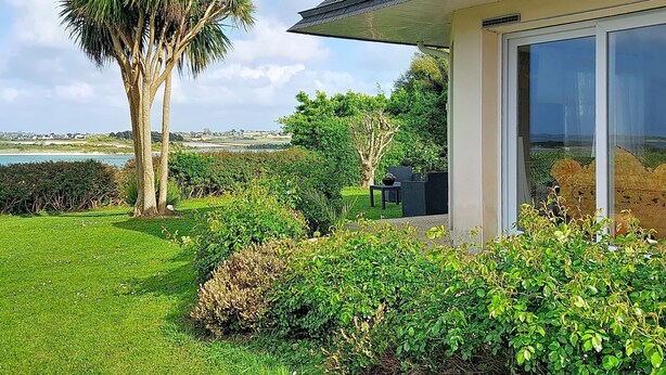 A house with a view of the sea, a lawn, and a palm tree.