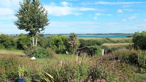 Un jardín con diversas plantas y flores, un árbol grande y vista al mar de fondo.