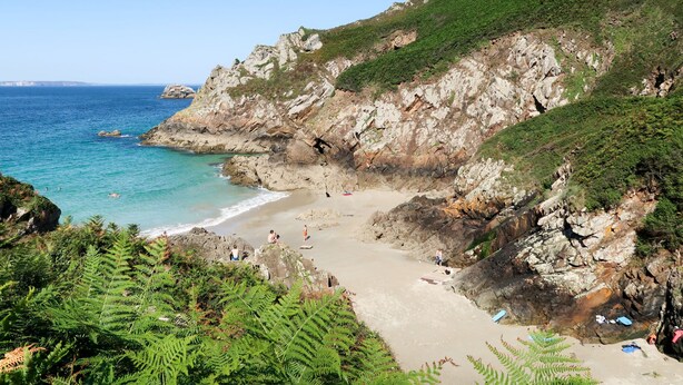 Une plage côtière bordée de falaises rocheuses et de fougères.