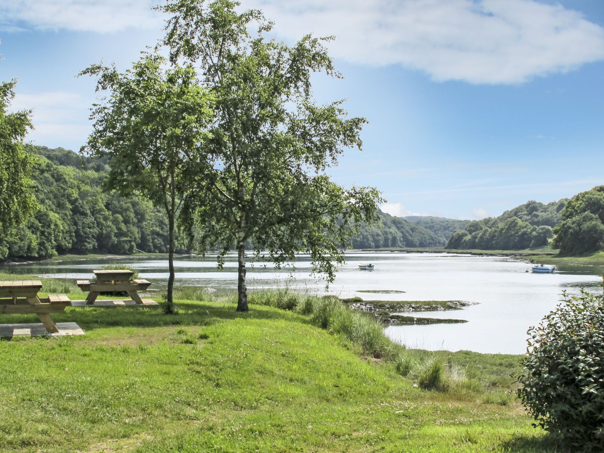 Un espace de pique-nique au bord de la rivière, avec des bancs, un petit bateau sur l’eau et une végétation luxuriante.