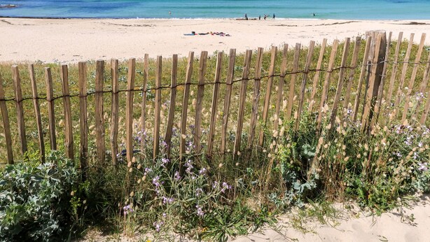 A beach with a wooden fence in the foreground, a sandy shore, and the ocean in the background.