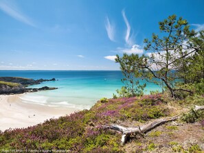 A coastal landscape with a beach, clear blue sea, and a tree in the foreground. - Cassiopée by Interhome (Telgruc sur Mer)