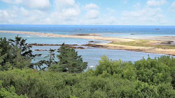 Un paysage côtier avec une plage, des affleurements rocheux et une végétation luxuriante au premier plan.