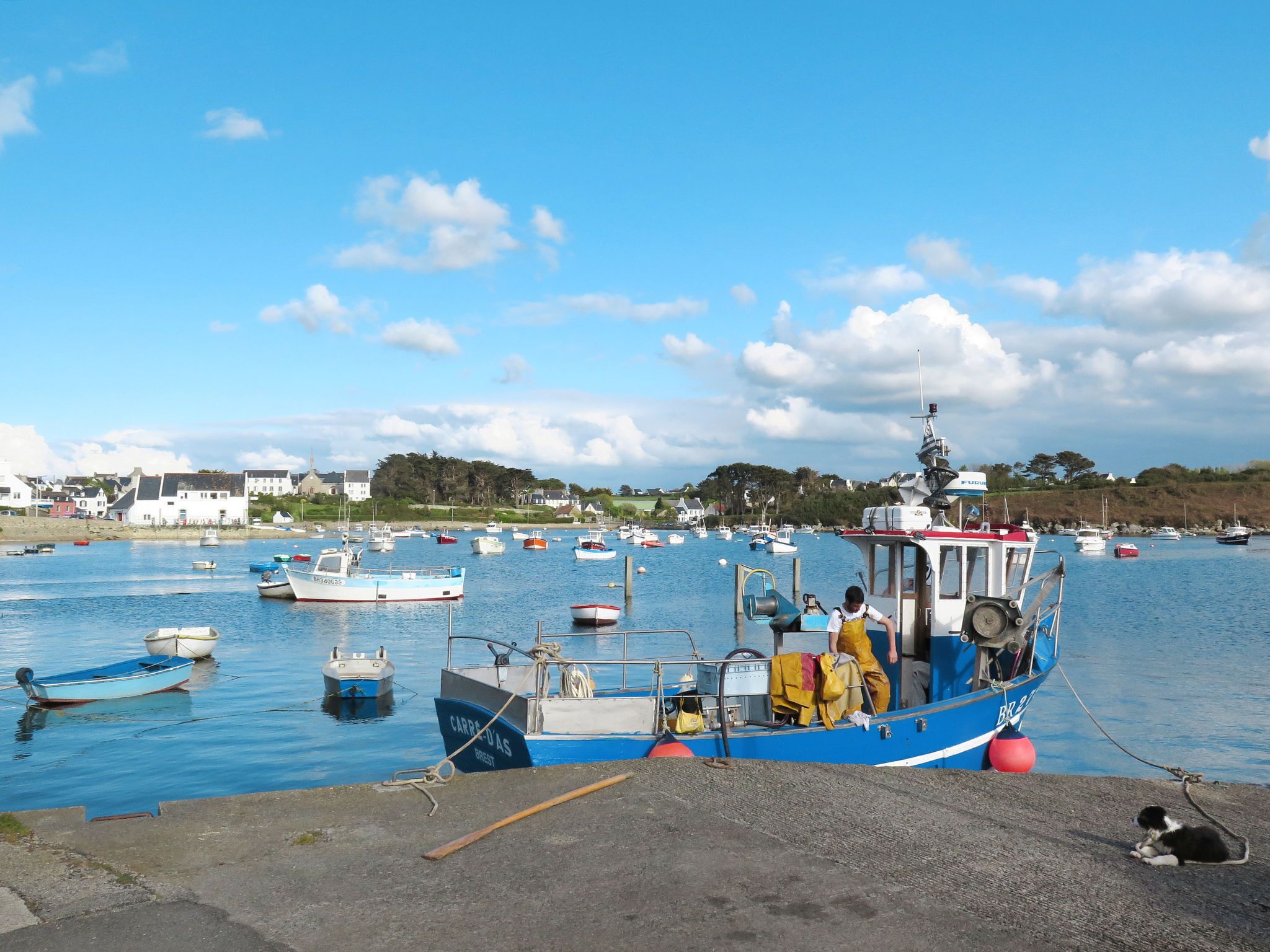 A harbor with multiple boats docked, a small boat with a person on board, and a backdrop of houses and trees.