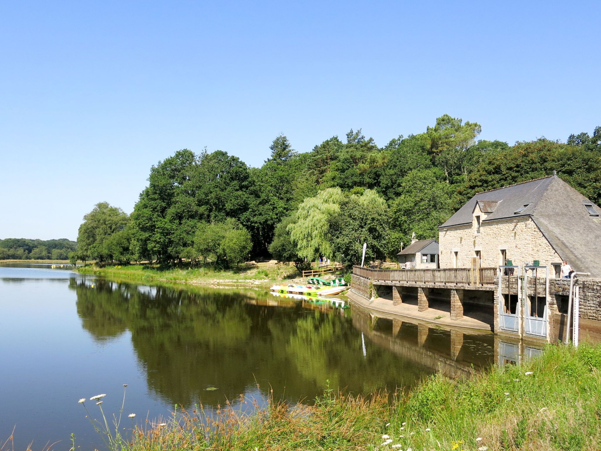 Diverse