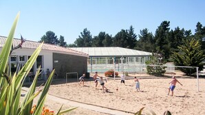 Ein Sandvolleyballfeld mit einem Gewächshaus im Hintergrund.