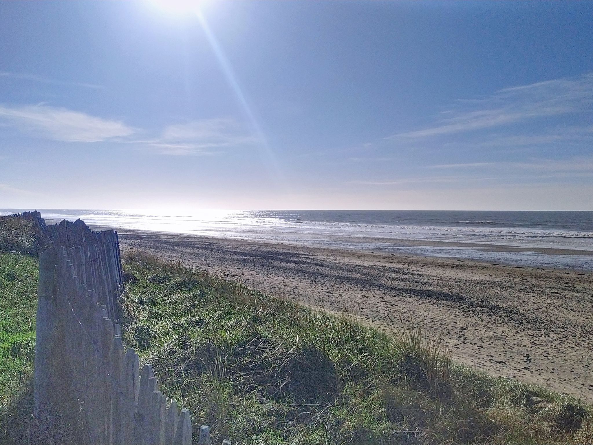 Une plage avec une clôture en bois et une zone herbeuse au premier plan.