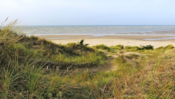 Ein Strand mit Dünen und Gras im Vordergrund, der zum Meer hinaufführt.