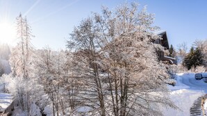 Unclassified image, 2 of 26, button - Grand Morillon by Interhome (Morillon)