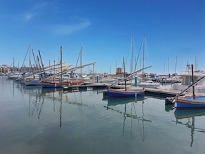 Een jachthaven met boten die aanmeren, kalm water en gebouwen op de achtergrond.