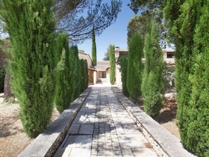 A stone pathway flanked by tall evergreen trees leading to a traditional building with a tiled roof.