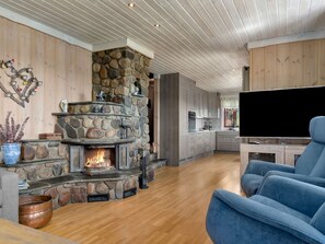 TV, fireplace, DVD player