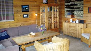 TV, fireplace, DVD player