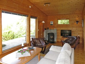 Fernseher, Kamin